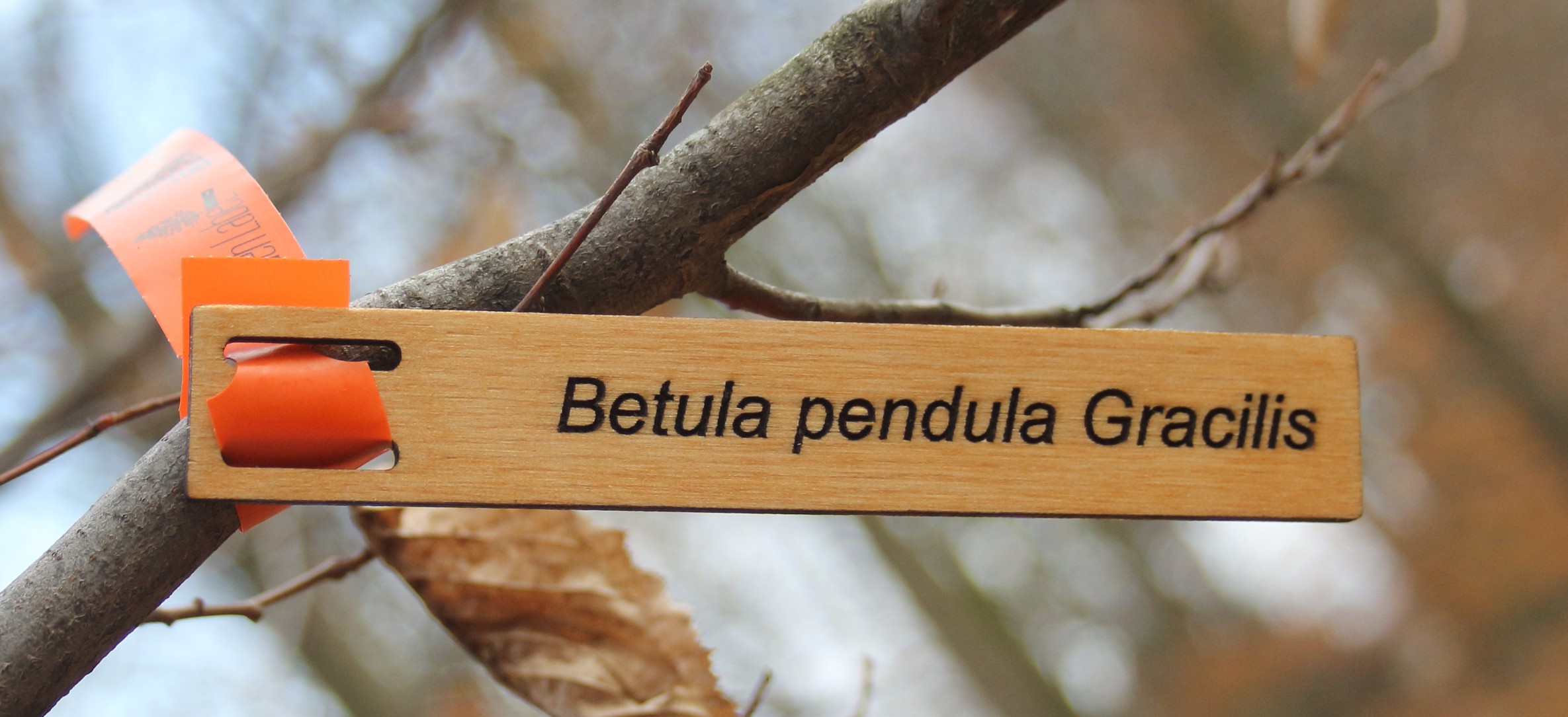 9f110e86885aa1b9b1d0b4b201c381bd