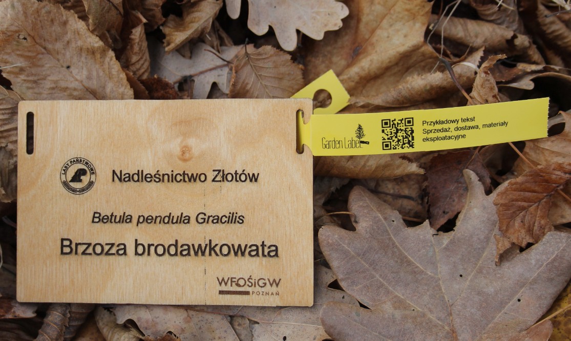 7614af74679bd4e835d0a16dd17b9e85