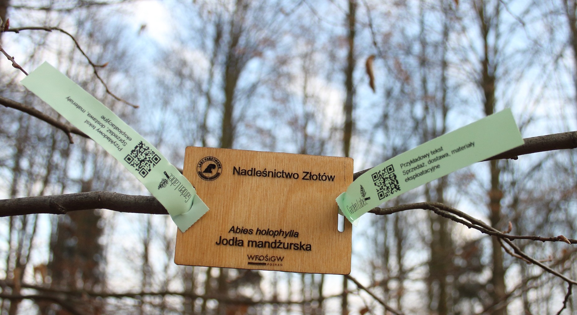 5f05ff316839bcb07dab37b017118600