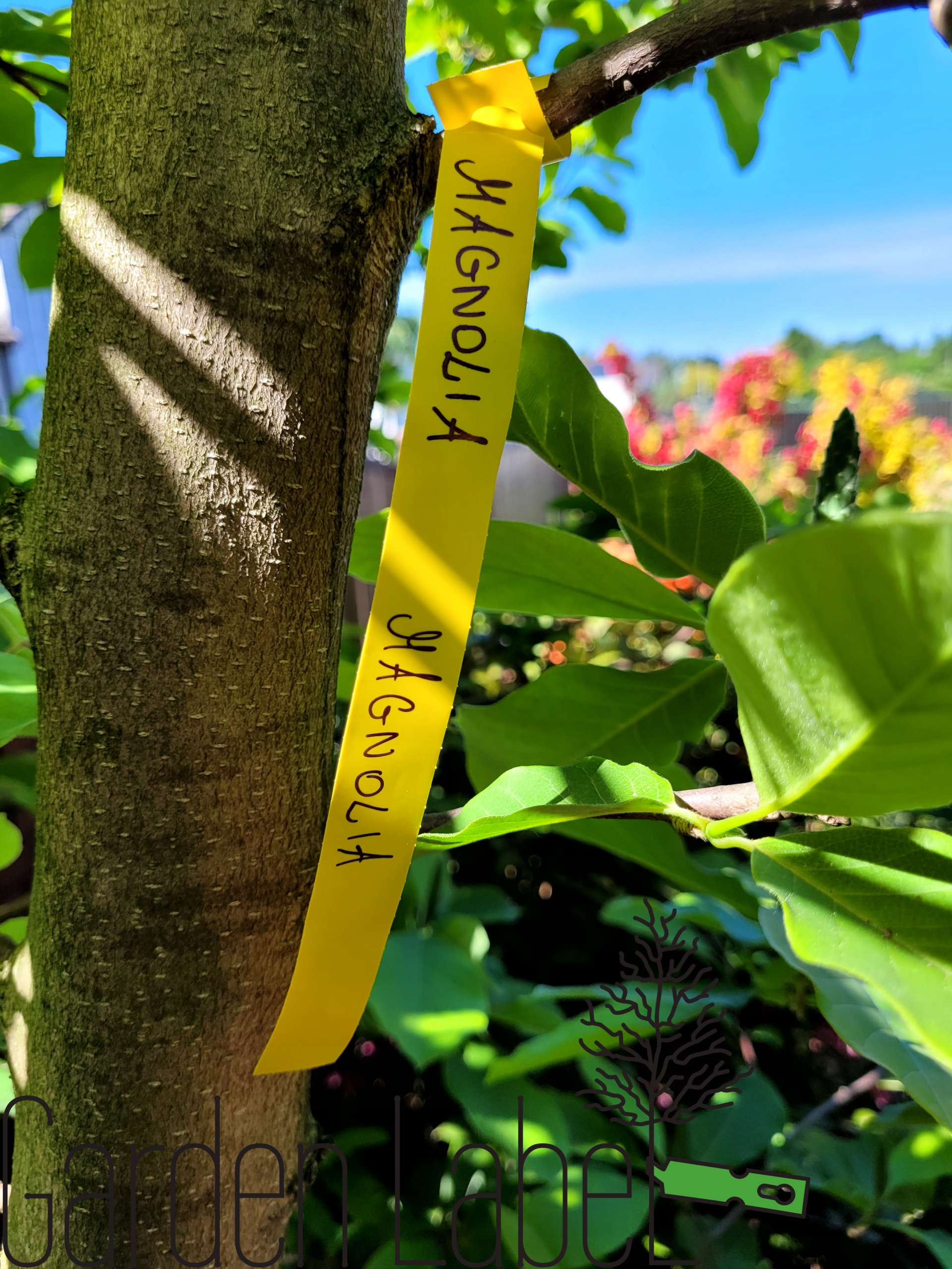 5b38656161aa12200b0a164697356baf