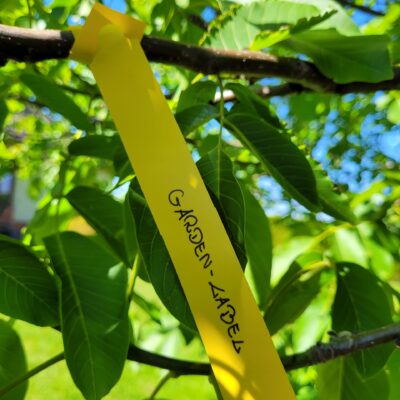 326e80bfde9af9d27cf557532859452c