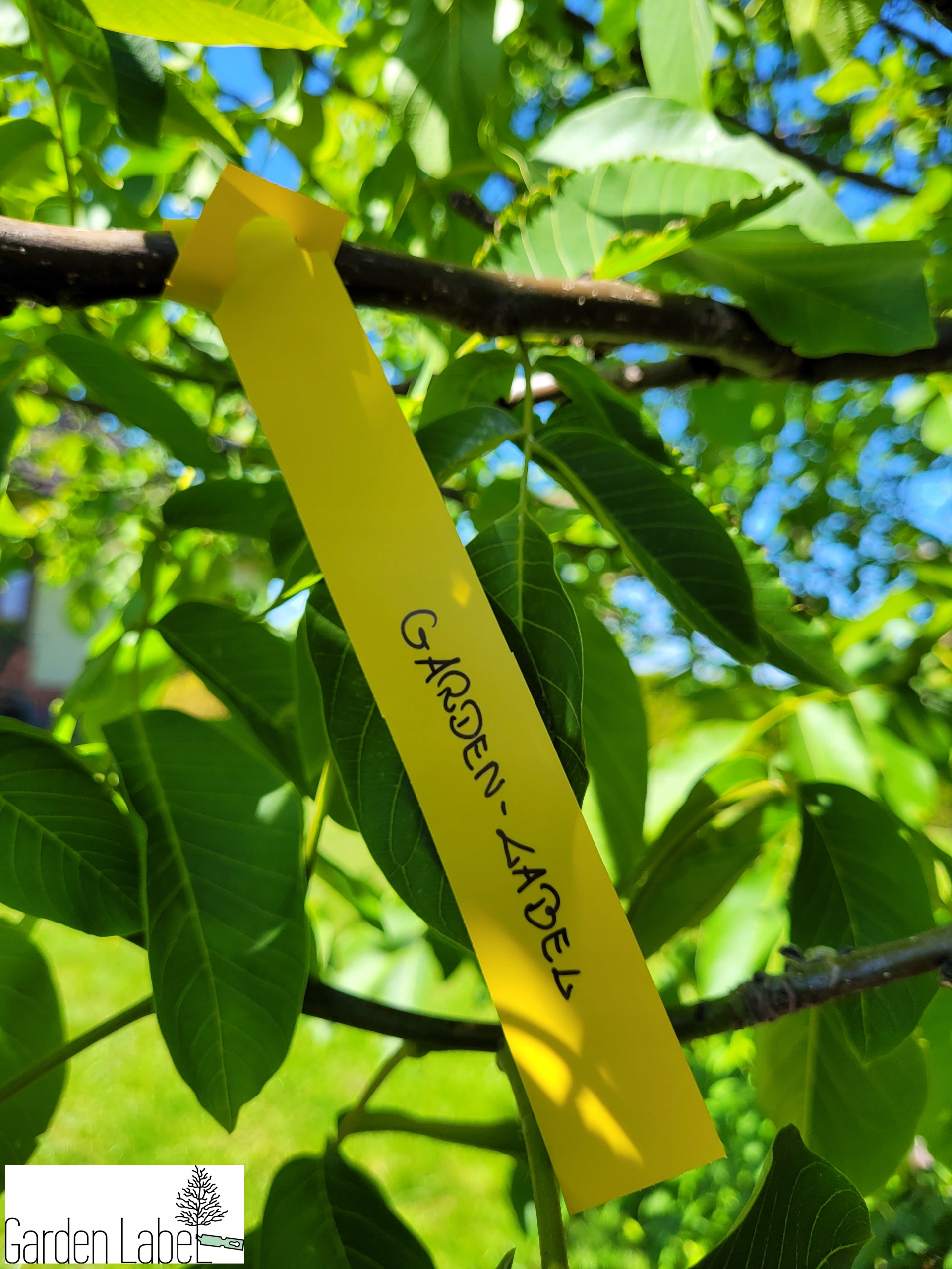 326e80bfde9af9d27cf557532859452c