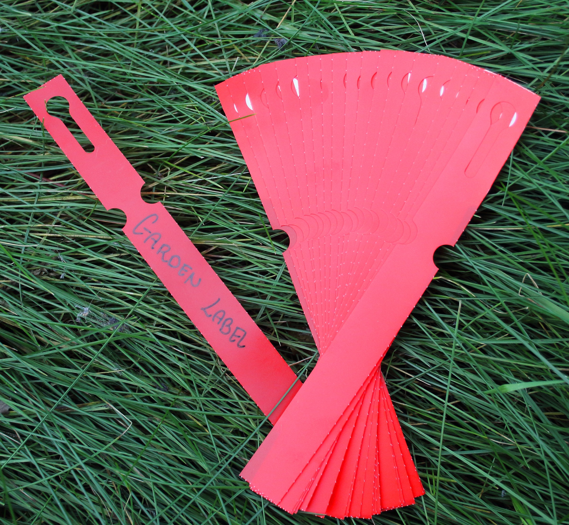 956dcf14aa8e4181bb91d94ea87efd55