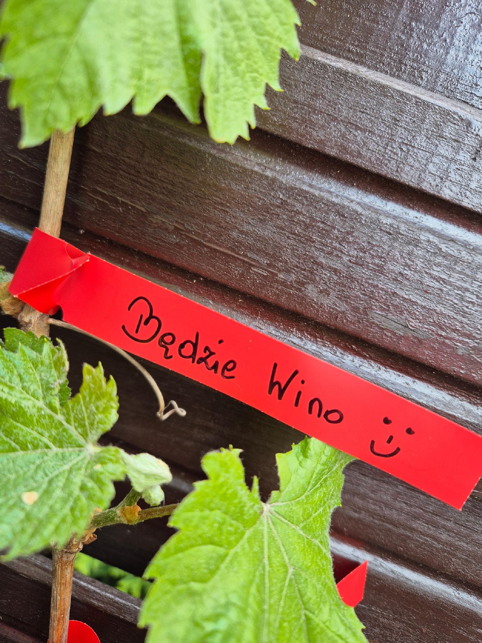 e7aff125d16c37b82d0fe94f10a4aea1