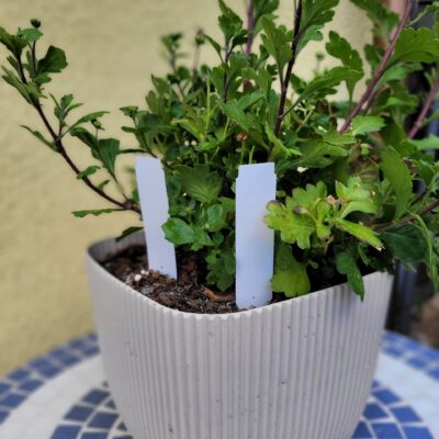 38aa070fe47673aebcb6f72946fd9f77