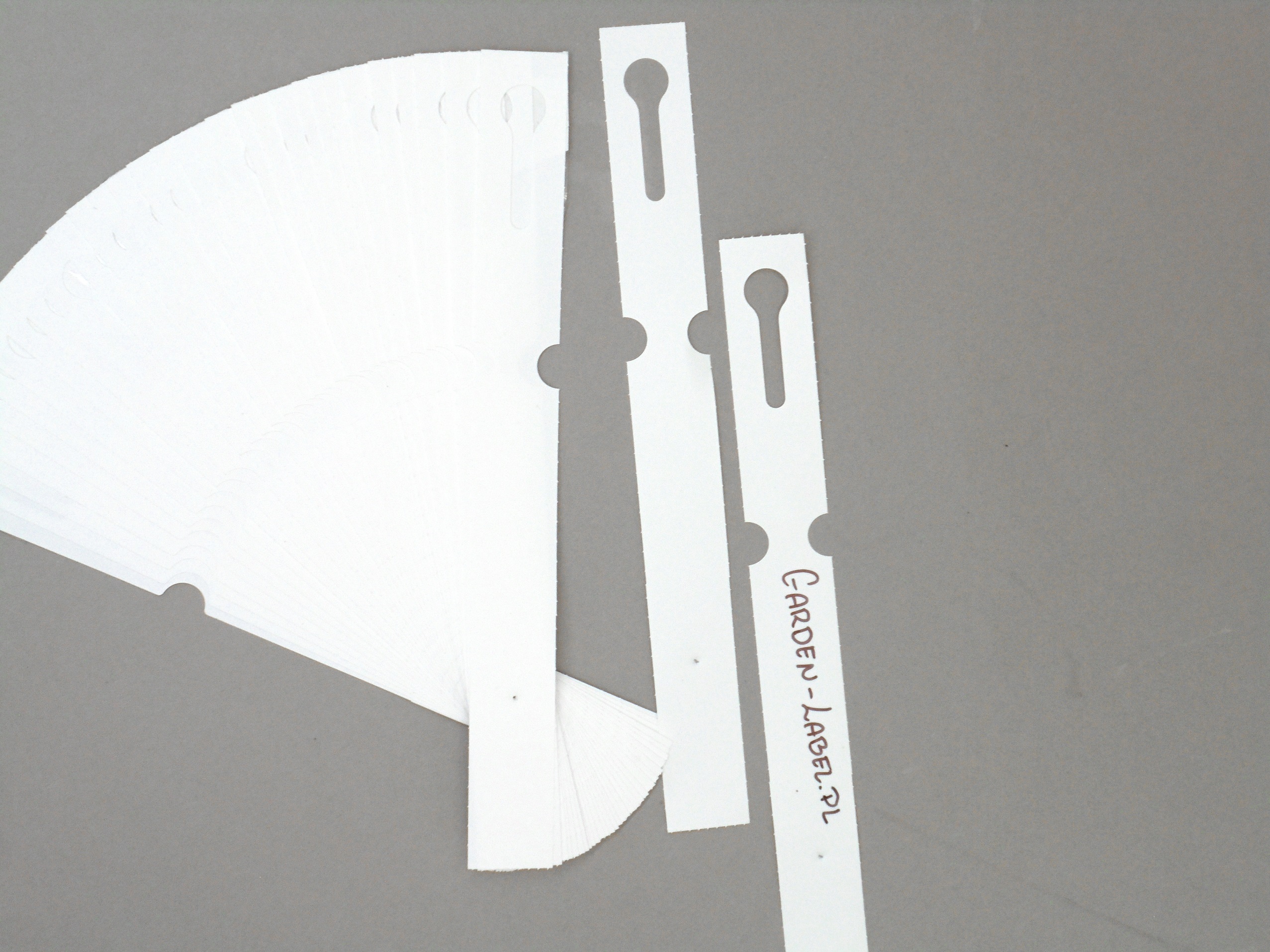 917053661fb436a5674155fca98f24d6