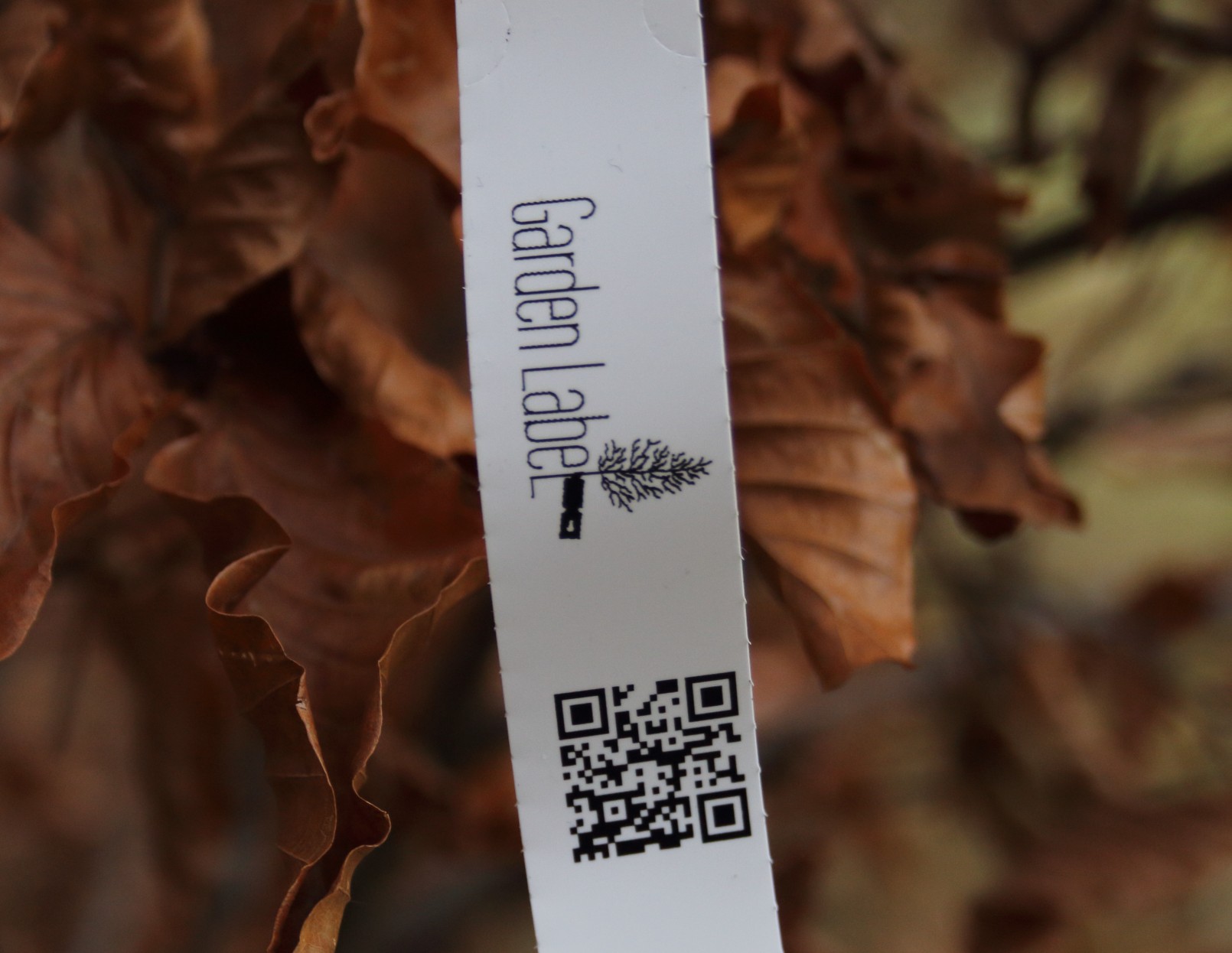 e66c656f91f327894ce035dcd49c16ad