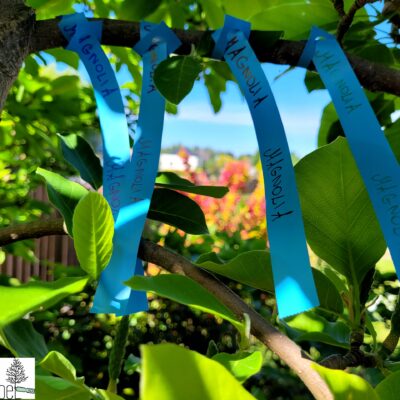 37a8b452fa48e435d604723ac3046849