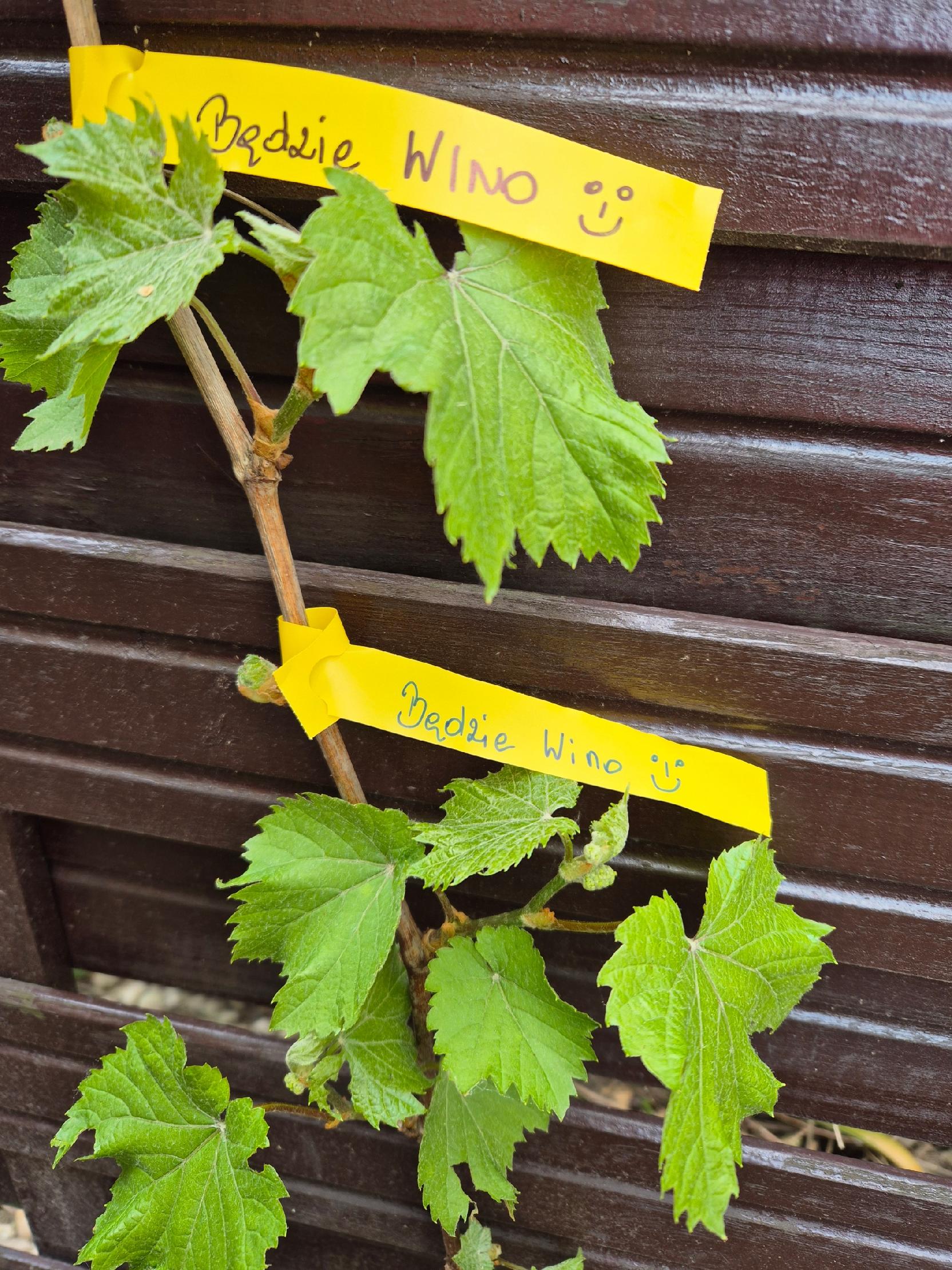 06c26059c85eda7c6cbef64c871e6ab7