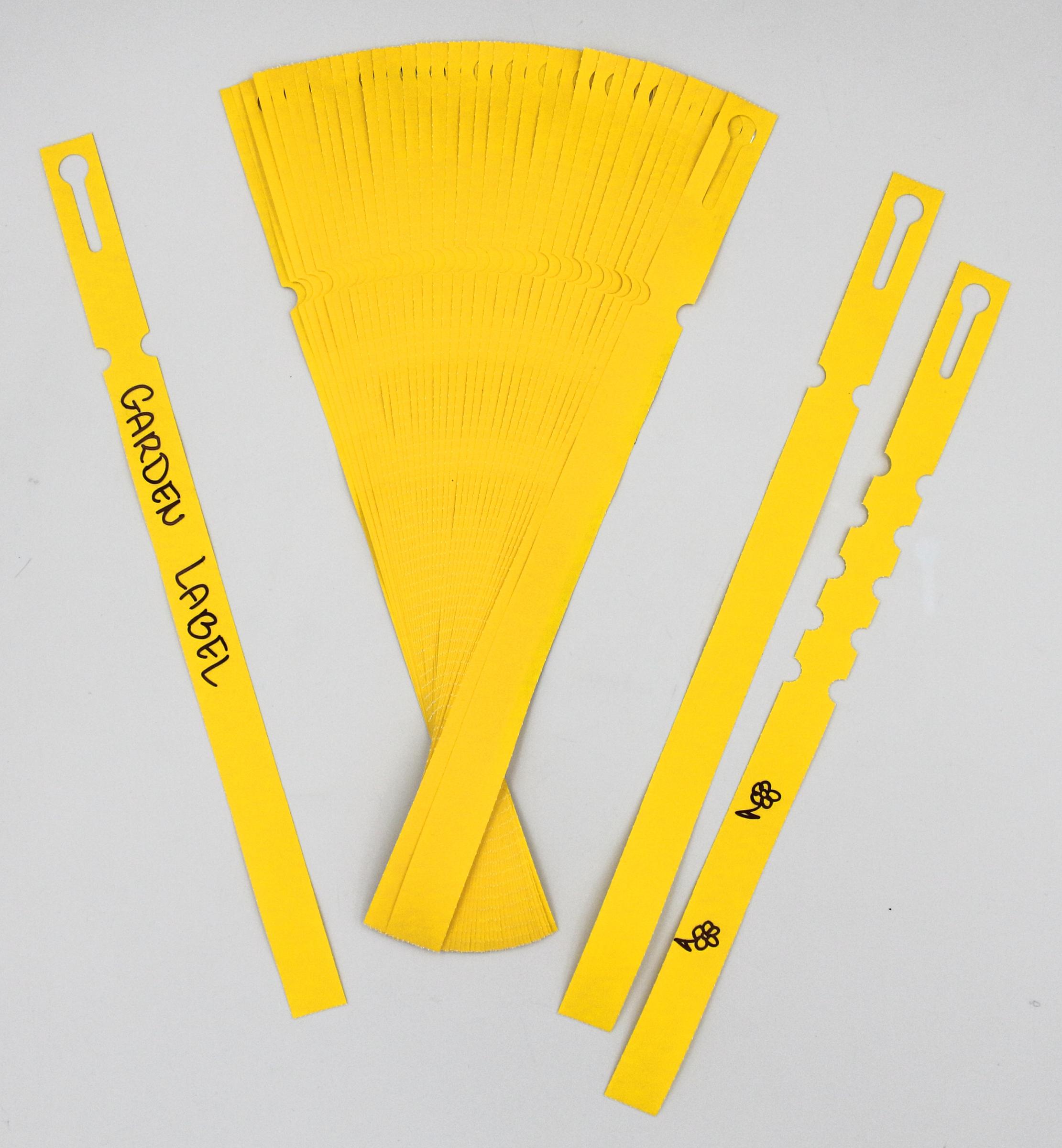 f73f3905bada9e384325008ae85f6f84