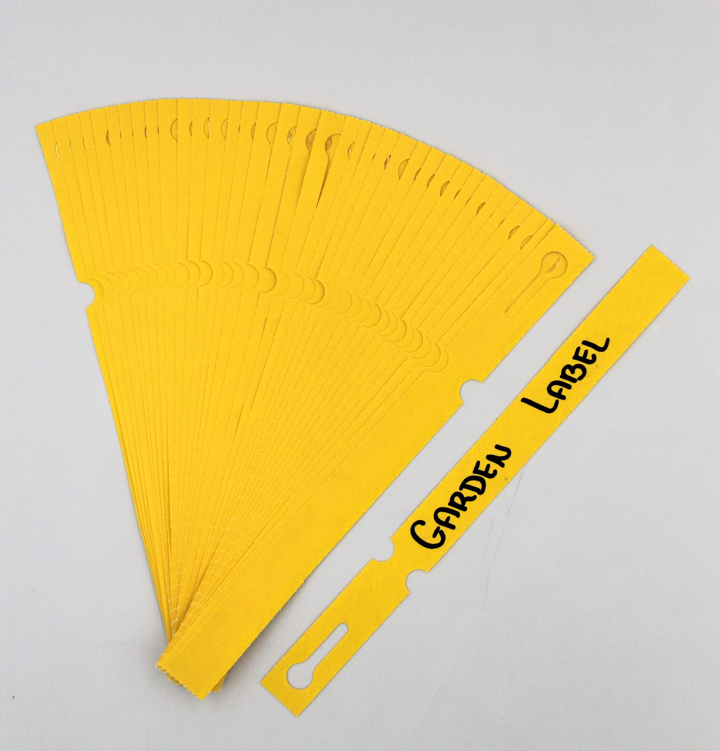 d88f444c78854cd93cadd6918faf8237