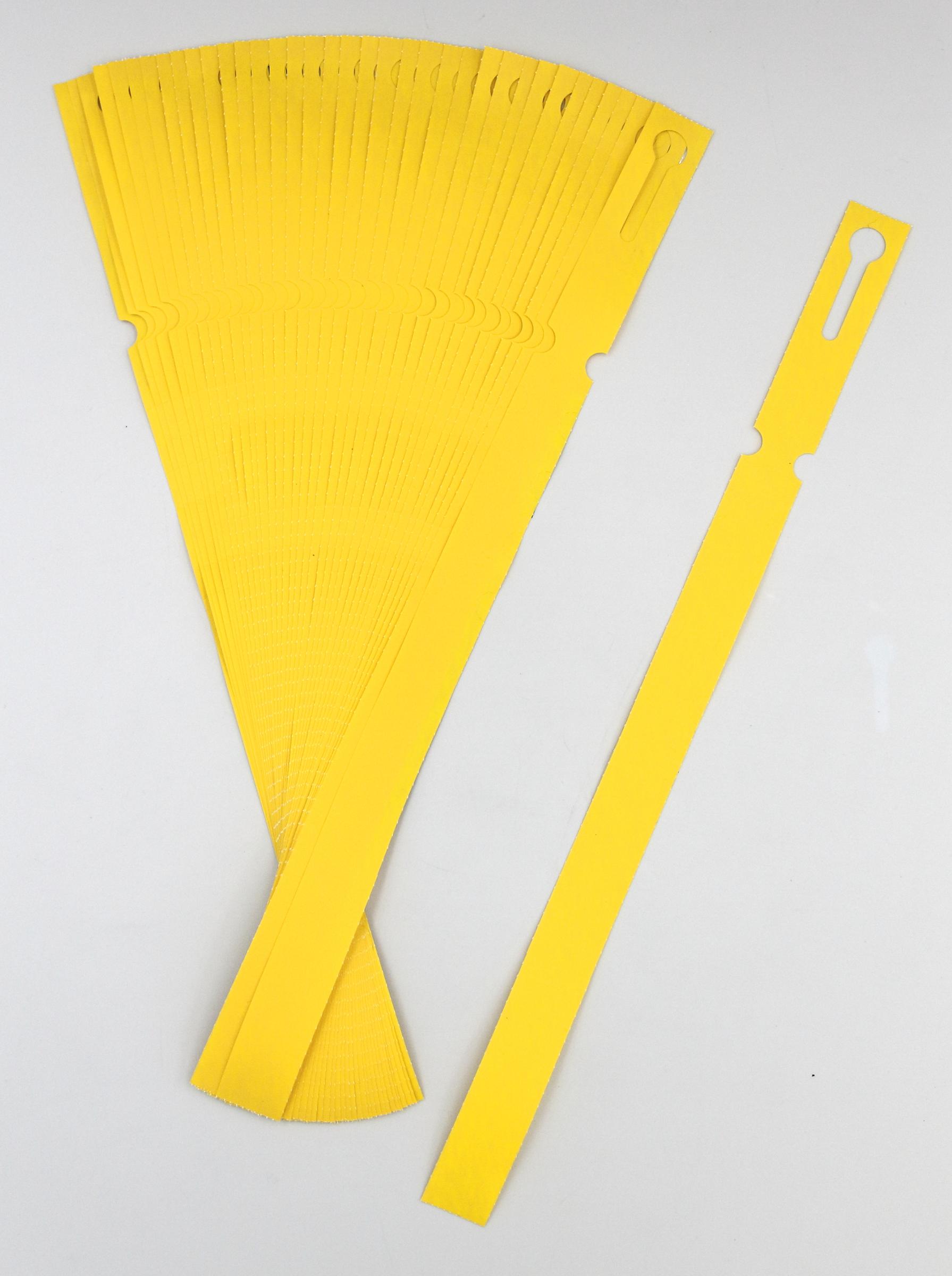 2b6975088d954532bd1a359be4012b39