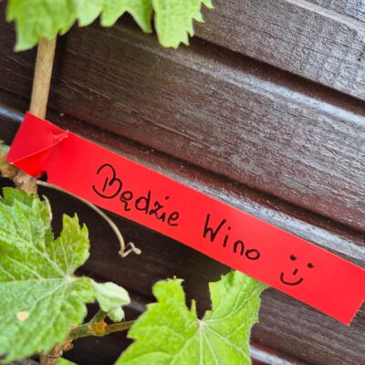 e7aff125d16c37b82d0fe94f10a4aea1