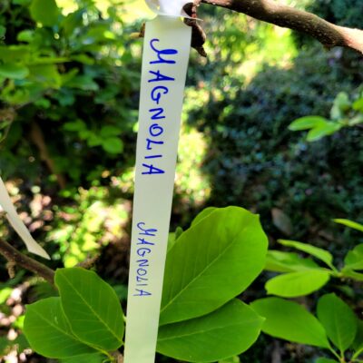 097d9a3360a1039bd427f2ba28688e3e