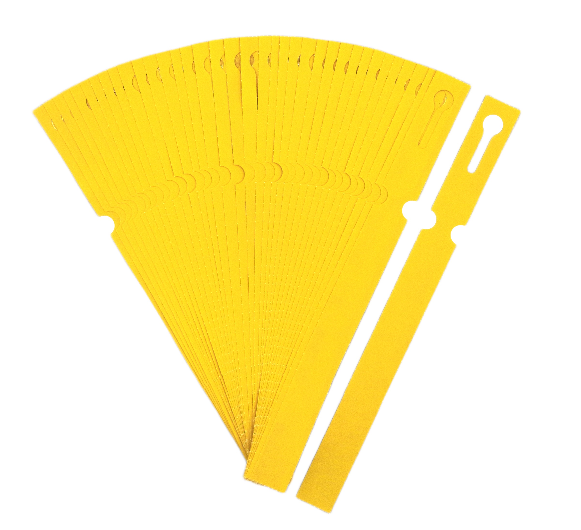 e2bff34b10021263cd999779092ba2e2