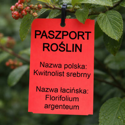 79fa545009749392a88c5e76e61cf110