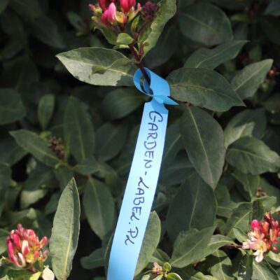 7a8a2ba8203394c3c2dbda81bfbfa6dc