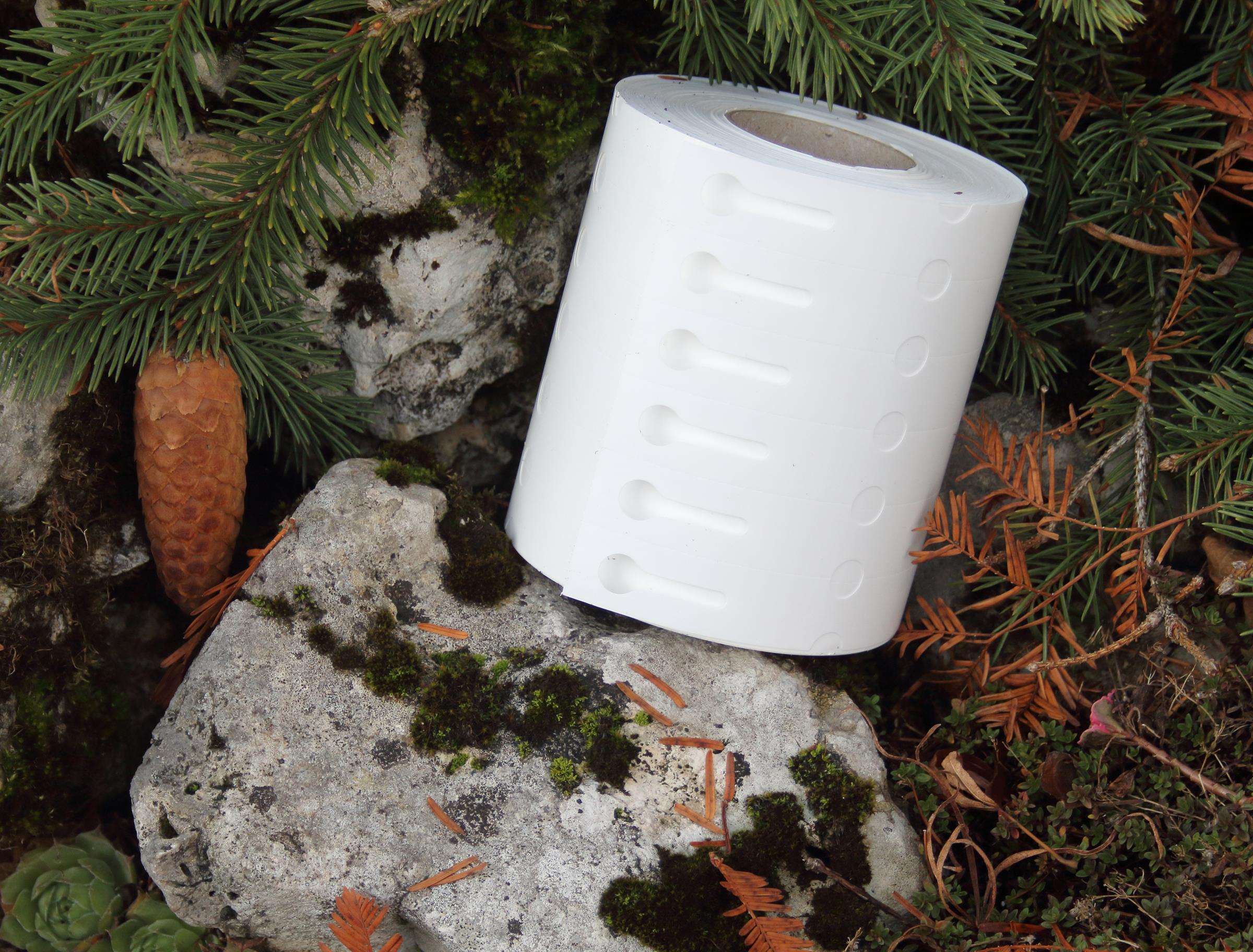 7f5e5c244dff4db24109809f7cc3d26a