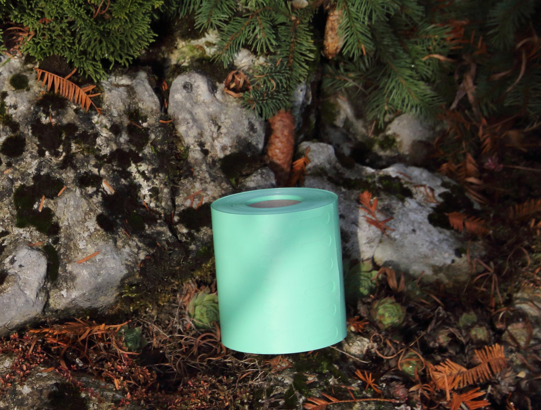 b8d025eabaacc98cef35ae3b33daa01a