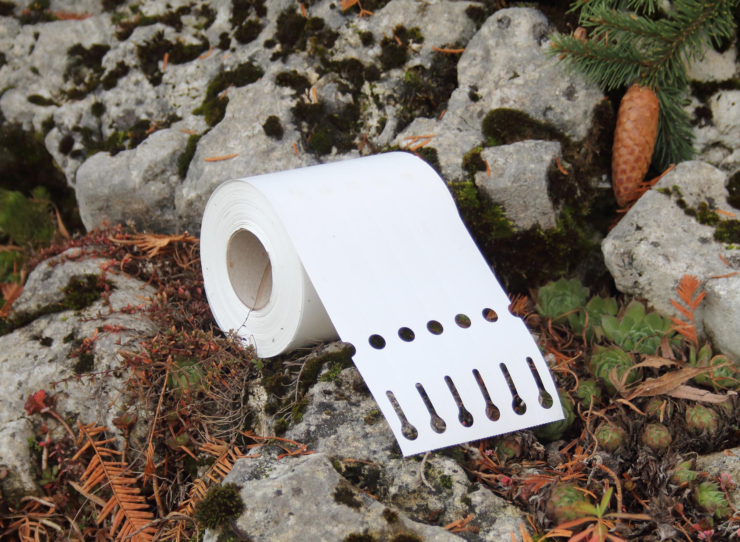 f1937f03dbfc9cd821784c238bfb60d4