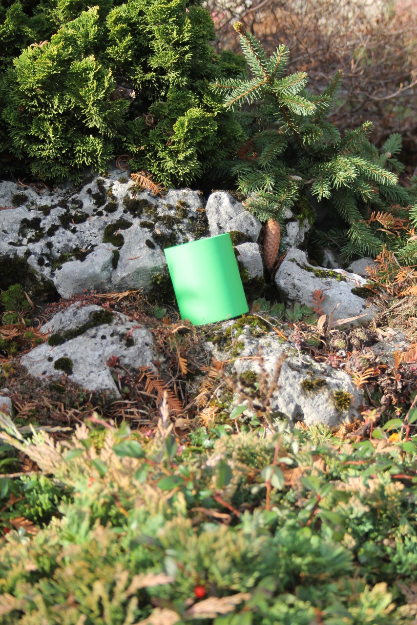 56c7863060058603169811b7a22e2e15