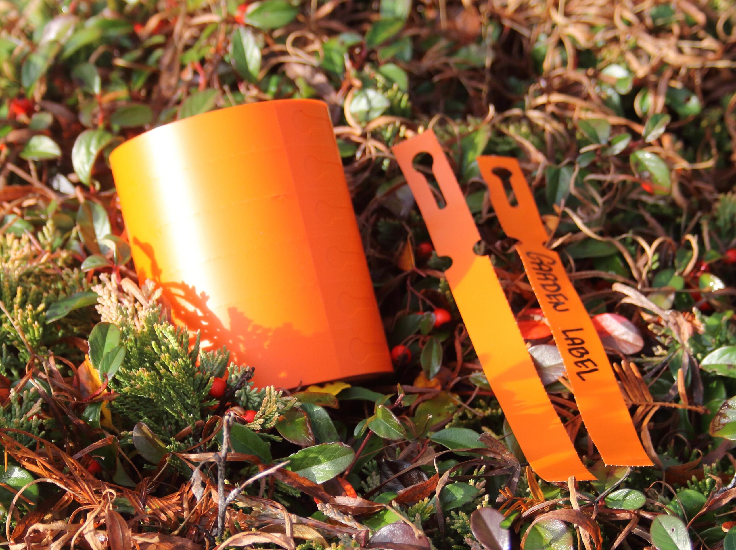 baaae54e39cb8413f4f766c4b400eeb4