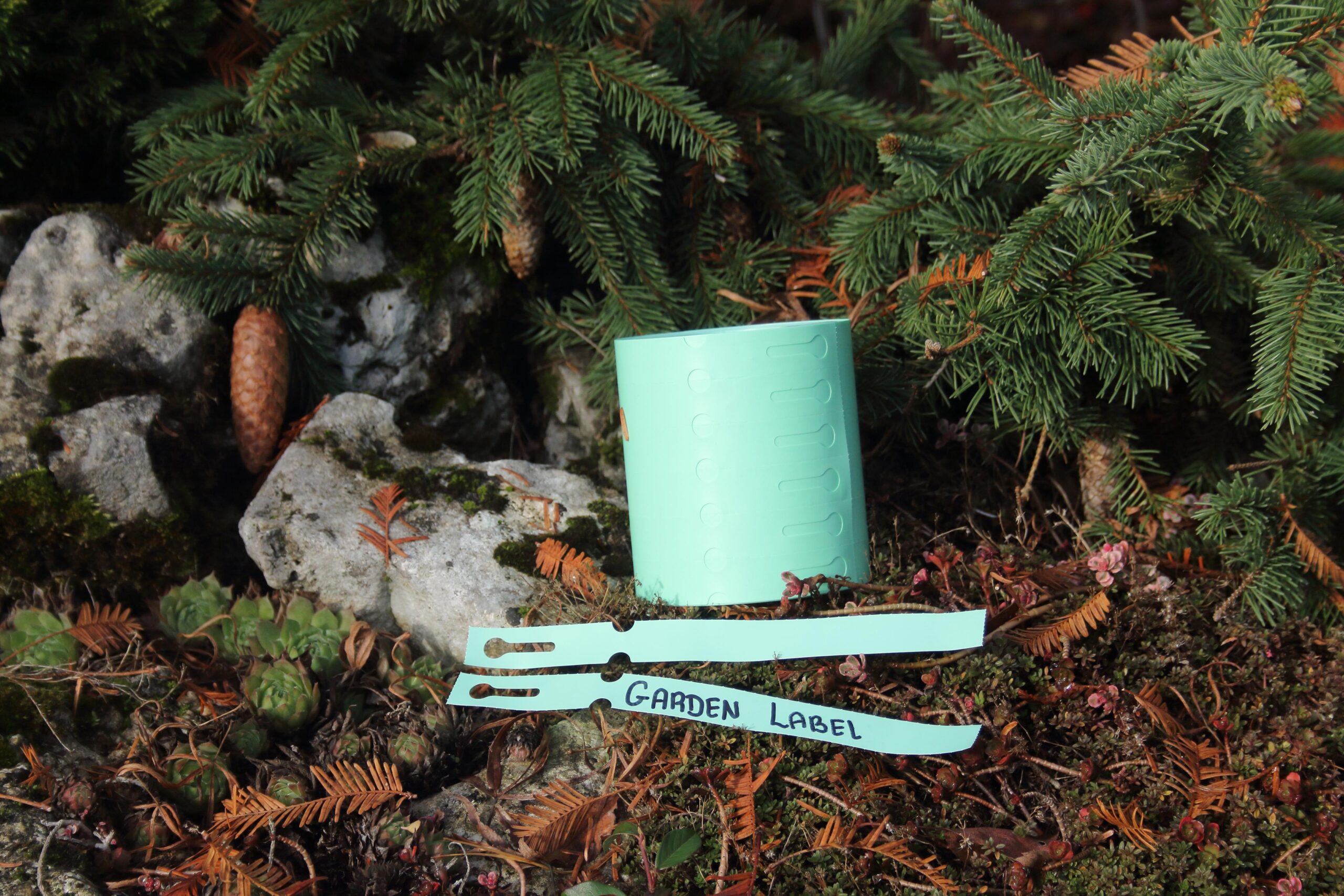 5d393dc972fbddf5f963879bfe6d20b3