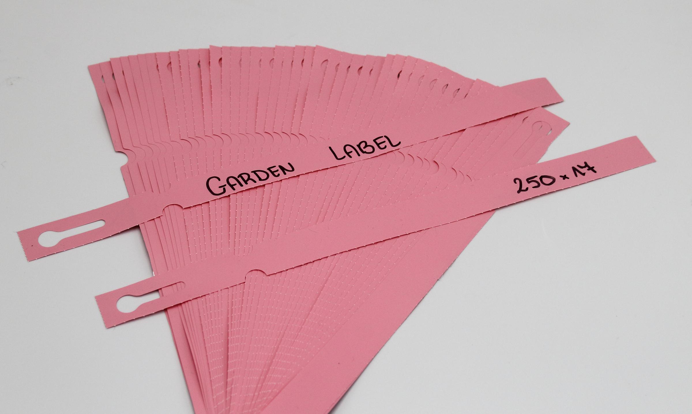 239a38d260381262779bfb78d682c2ad