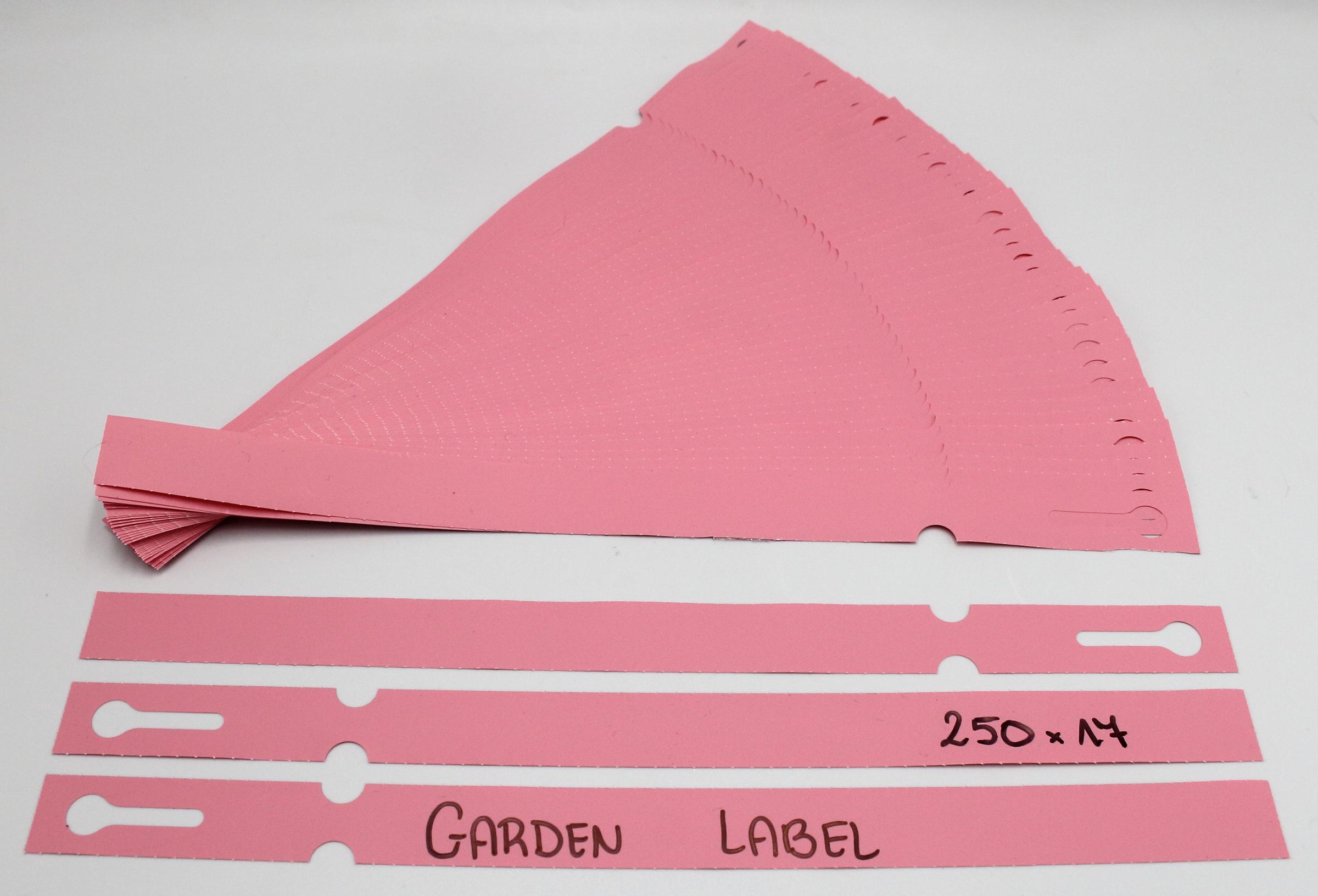 48c7feefbbcf43cb7eaad173069f5255