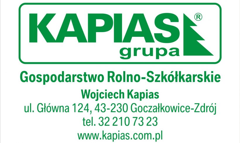 Cooperation with the company – Grupa Kapias
