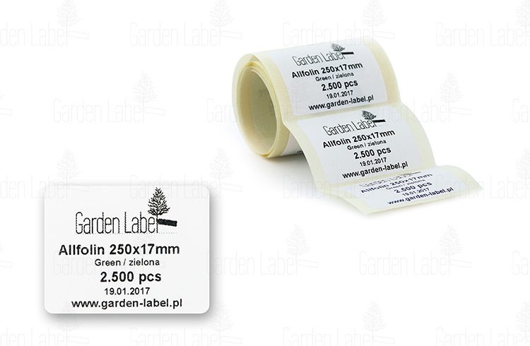 PP 50×40 label – adhesive A1