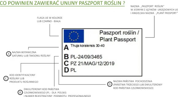 Paszport roślin UE - sprawdż, co powinien zawierać plant passport. (Opracowanie Garden Label na podstawie materiałów www.piorin.gov.pl).