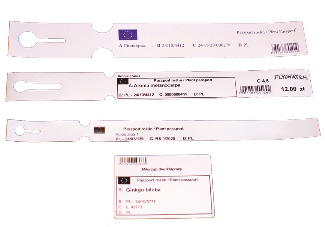 Plant passport – co to jest paszport roślin i jaka roślina musi go ...