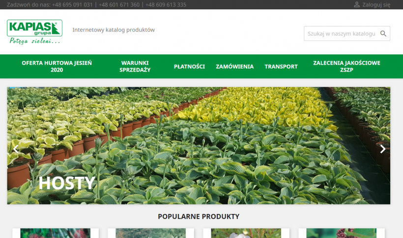 Katalog roślin online – zrealizowaliśmy internetowy projekt dla Grupy Kapias